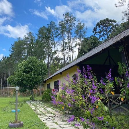 Sitio Cachoeirinha - Araguaia Marechal Floriano Dış mekan fotoğraf