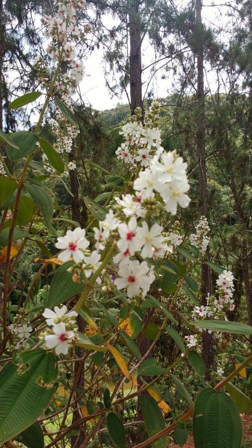 Sitio Cachoeirinha - Araguaia Marechal Floriano Dış mekan fotoğraf